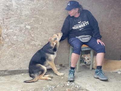 Casper geb. 11/23 sucht geduldige und liebevolle Familie, Mischling - Rüde