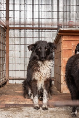 Cherry möchte lernen zu vertrauen