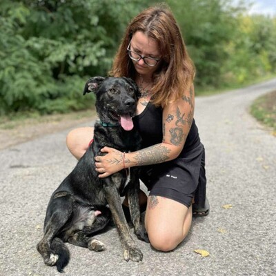 🐶Chester läuft gut an der Leine und würde sich auch für eine Familie mit älteren Kindern eignen.💥, Mischling - Rüde