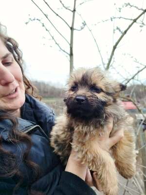 Chiara ist eine süße, kleine Kuscheltante