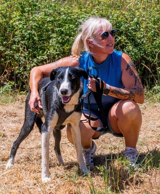 Chico - ein junger Hüpfer, Bordercollie-Mix - Rüde