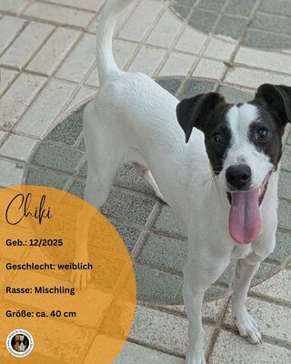 Chiki