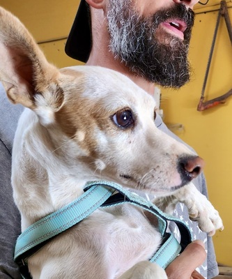 Chloe, Mix - Hündin