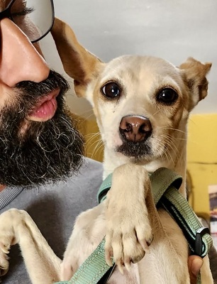 Chloe, Mix - Hündin