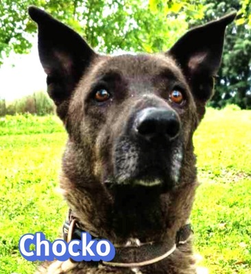 Chocko
