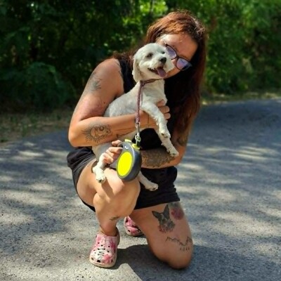 💥Chupachups (Malteser) ist ein sanfter, lieber und furchtloser kleiner Hund, der jeden freundlich begrüßt💥, Malteser - Rüde