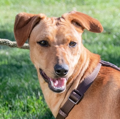 Ciana - eine die noch wartet