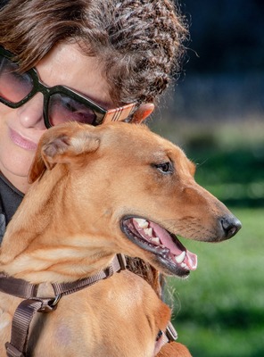 Ciana - eine die noch wartet, Mischling - Hündin