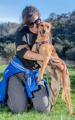 Ciana - eine sanfte Nachzüglerin, Mischling - Hündin