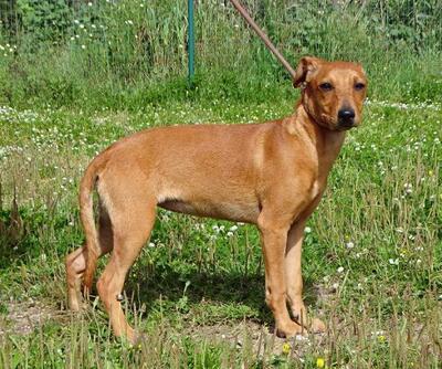 Ciana - eine sanfte Nachzüglerin