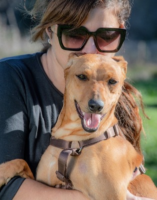 Ciana - eine sanfte Nachzüglerin, Mischling - Hündin