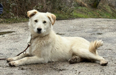 Clara freut sich auf IHRE Familie