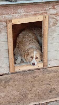 Cleo hat kleine Tupfen auf der Nase und ganz viel Zauber im Blick