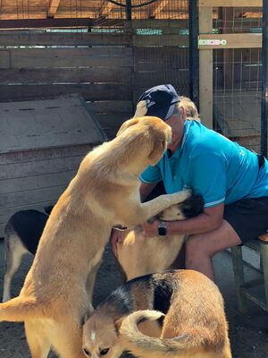 Coco geb. 11/23 sucht geduldiges und liebevolles Zuhause, Mischling - Hündin