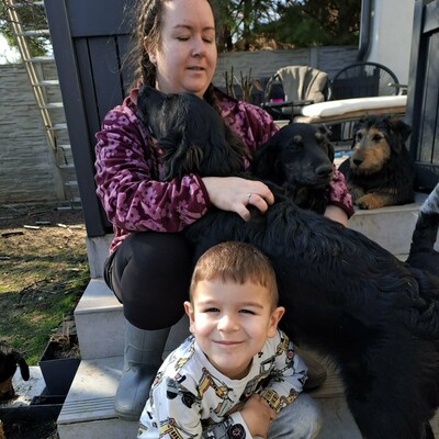 🌸Cola Schäferhund Mischlingswelpin ist sehr verspielt und lieb, stubenrein und lebt mit mehreren Hunden zusammen 🌸, Schäferhund Mischlingswelpin Welpen - Hündin