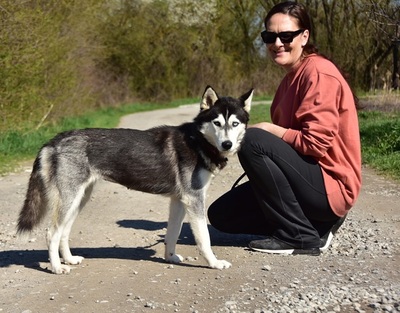 DORY, Husky-Mischling - Hündin