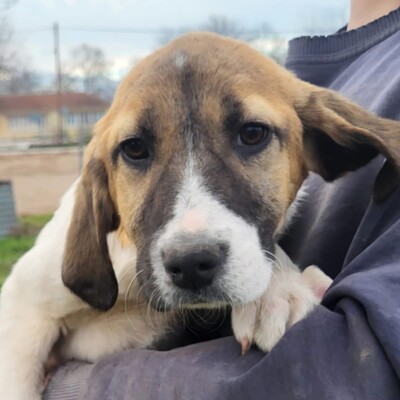 Danai - aufgeweckt & fröhlich 😉 / Reserviert