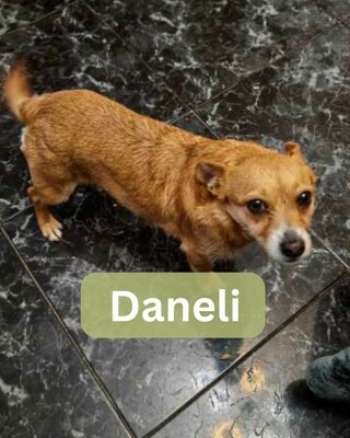 Daneli