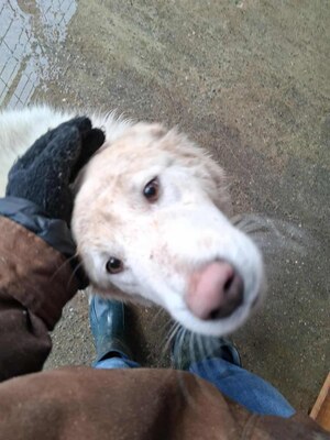 Darf Ylva dein Herz erobern?