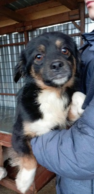 🍝 Darf ich vorstellen? Gnocchi – klein, bunt &amp; unwiderstehlich! 🍝