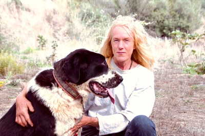 Davi - Stärke mit Sanftmut