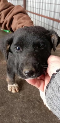 Die kleine Amy hatte keinen guten Start ins Leben