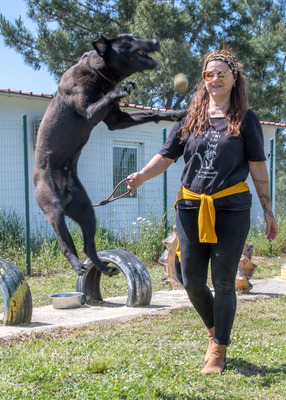 Diego - jung und verspielt, Mischling - Rüde