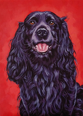 Direkt von Künstlerin: Tierportraits ab Foto (mit Tierschutzhilfe)