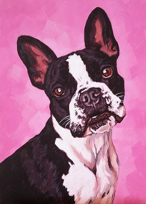 Direkt von Künstlerin: Tierportraits ab Foto (mit Tierschutzhilfe)