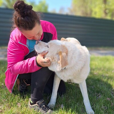 🐶Dixon hat ein sehr gutmütiges Wesen und ist durch und durch gutmütig 🐶, Mischling - Rüde
