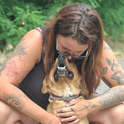 ❤️Doey Appenzeller Mix, ist außergewöhnlich menschenfreundlich und fast schnell Vertrauen zu neuen Gesichtern💥, Appenzeller Mischling - Rüde