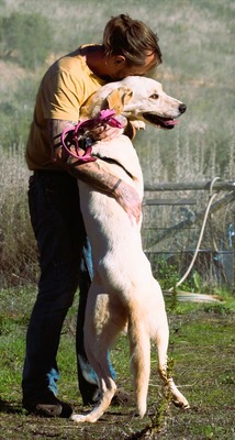 Doya - ein großer Schatz, Mischling - Hündin