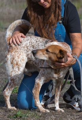 Duke - ein Schatz mit Handicap, Mischling - Rüde