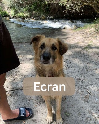 Ecran