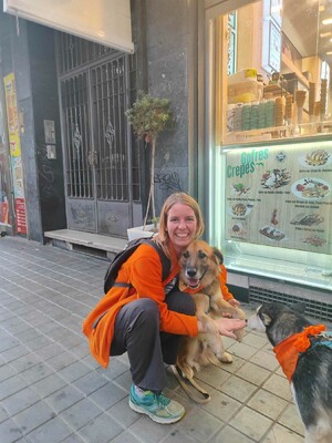 Ecran, Mischling - Rüde