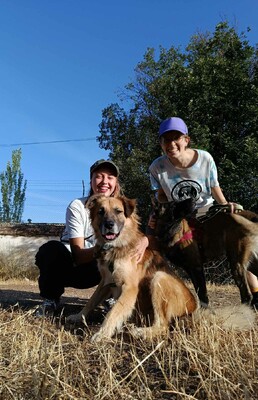 Ecran, Mischling - Rüde