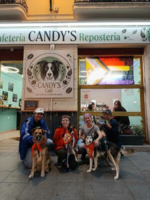 Ecran, Mischling - Rüde