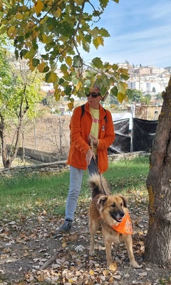 Ecran, Mischling - Rüde