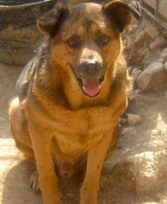 Eddy freut sich auf SEIN neues Leben-NOTFALL