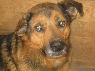 Eddy freut sich auf sein NEUES Leben-NOTFALL