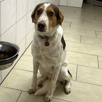 Eddy - lernbereit, interessiert, feinfühlig  😇