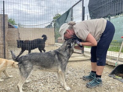 Eiko, geb. 2021, liebevoller Schmusebär sucht sein Zuhause, Mischling - Rüde