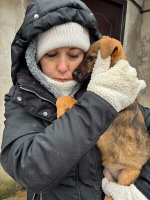 Elfi, Mischling Welpen - Hündin