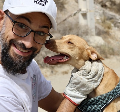 Eli, Podenco Andaluz - Mix - Hündin