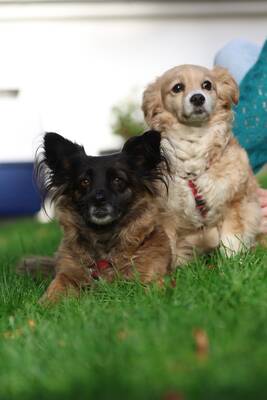 Ella & Frieda unzertrennlich