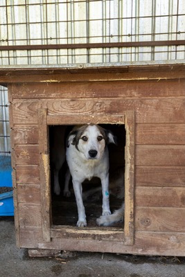 Ella – kleines Energiebündel sucht ihre Menschen! 💕🐾