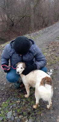 Ella – kleines Energiebündel sucht ihre Menschen! 💕🐾, Mischling - Hündin