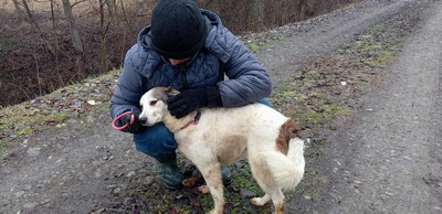 Ella – kleines Energiebündel sucht ihre Menschen! 💕🐾, Mischling - Hündin