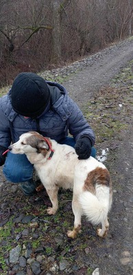Ella – kleines Energiebündel sucht ihre Menschen! 💕🐾, Mischling - Hündin