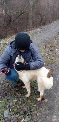 Ella – kleines Energiebündel sucht ihre Menschen! 💕🐾, Mischling - Hündin